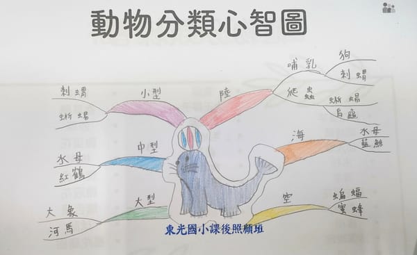 【暑假教學回顧】東光國小114暑假生活營｜中年級主題課程