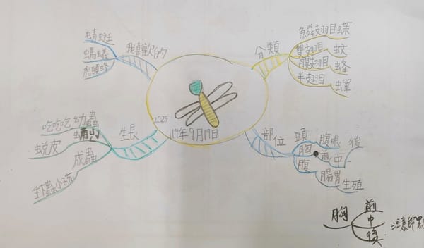 【心智圖教學】中年級｜認識昆蟲